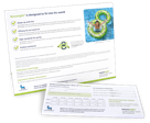 Novoeight® resource cards