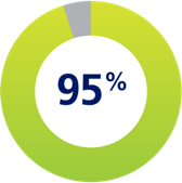 95% donut pie chart