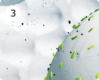 Step 3 Step 3